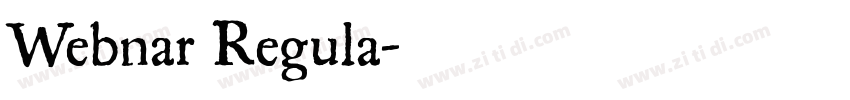 Webnar Regula字体转换